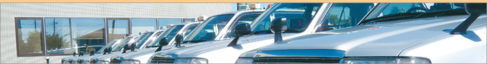 �j���[��s�^�N�V�[�����p�ɂ���