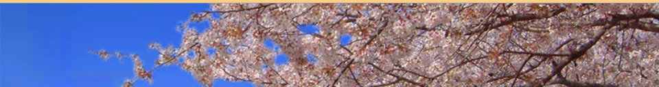 ���J�ԏ��