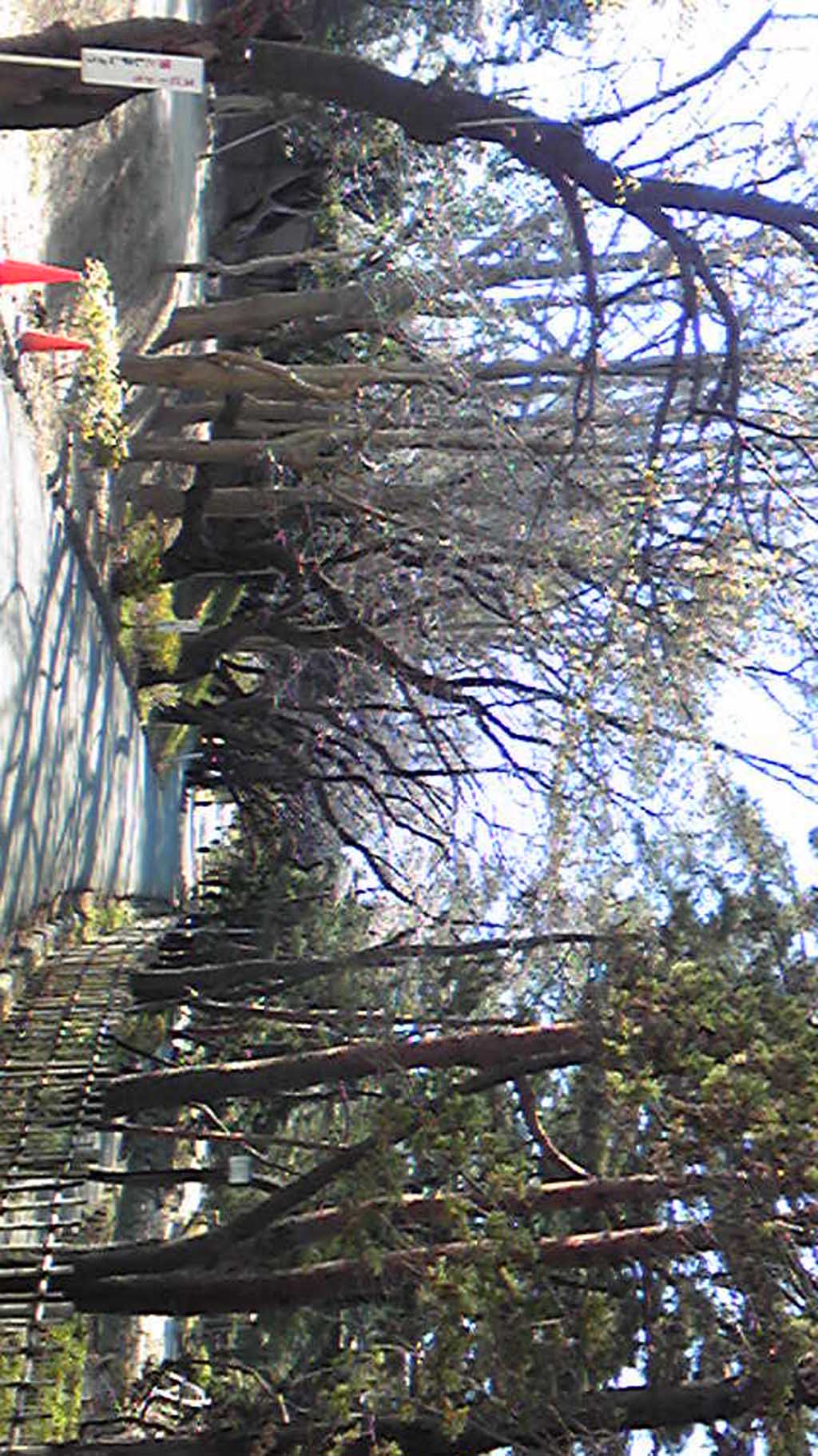 ��t�����@���̎ʐ^