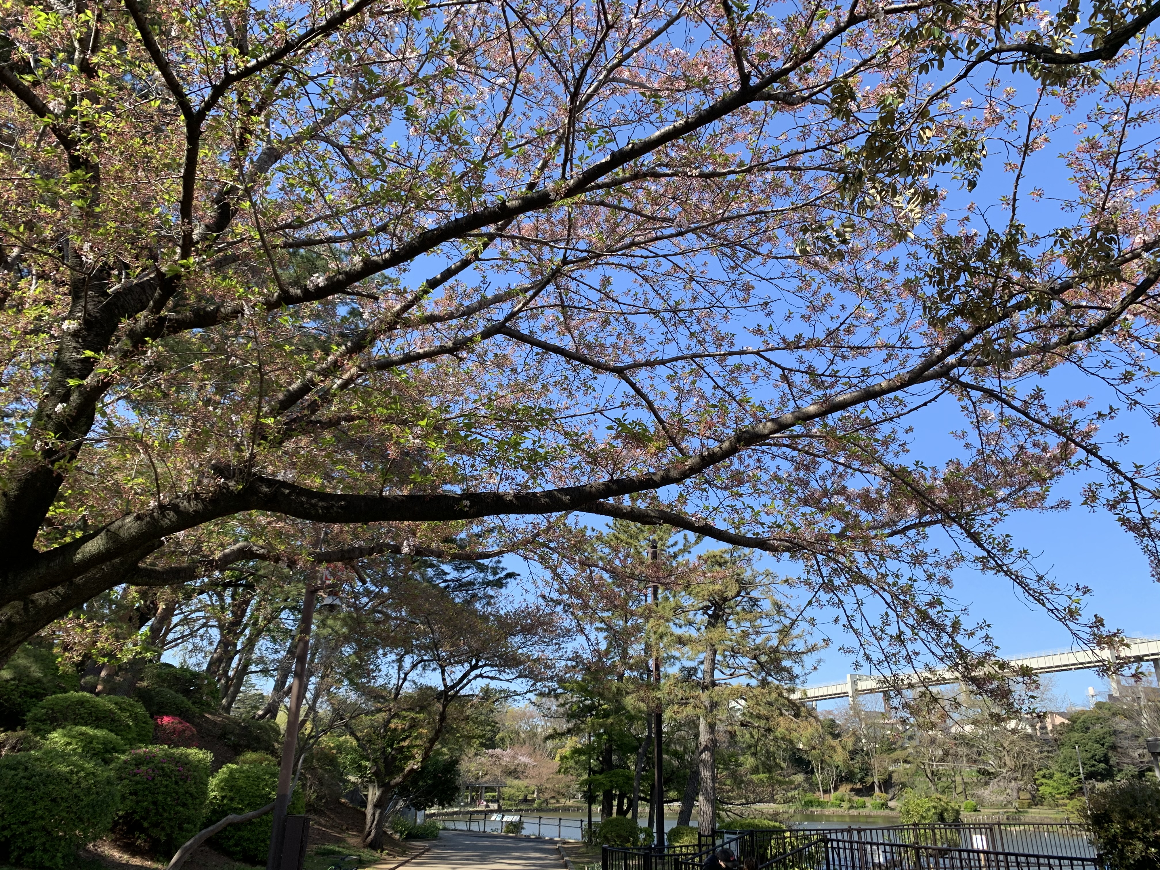 ��t�����@���̎ʐ^