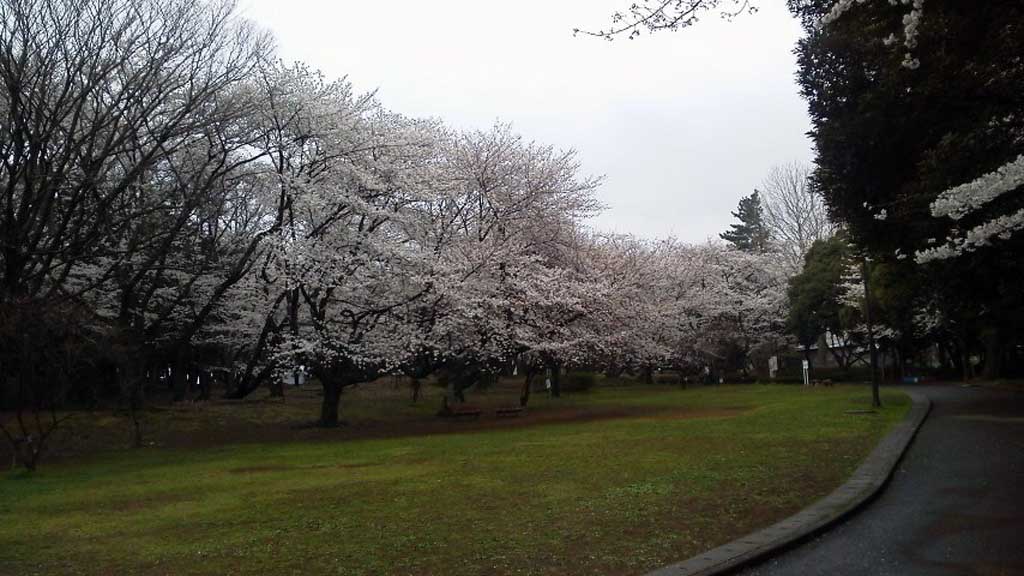 ��t�����@���̎ʐ^