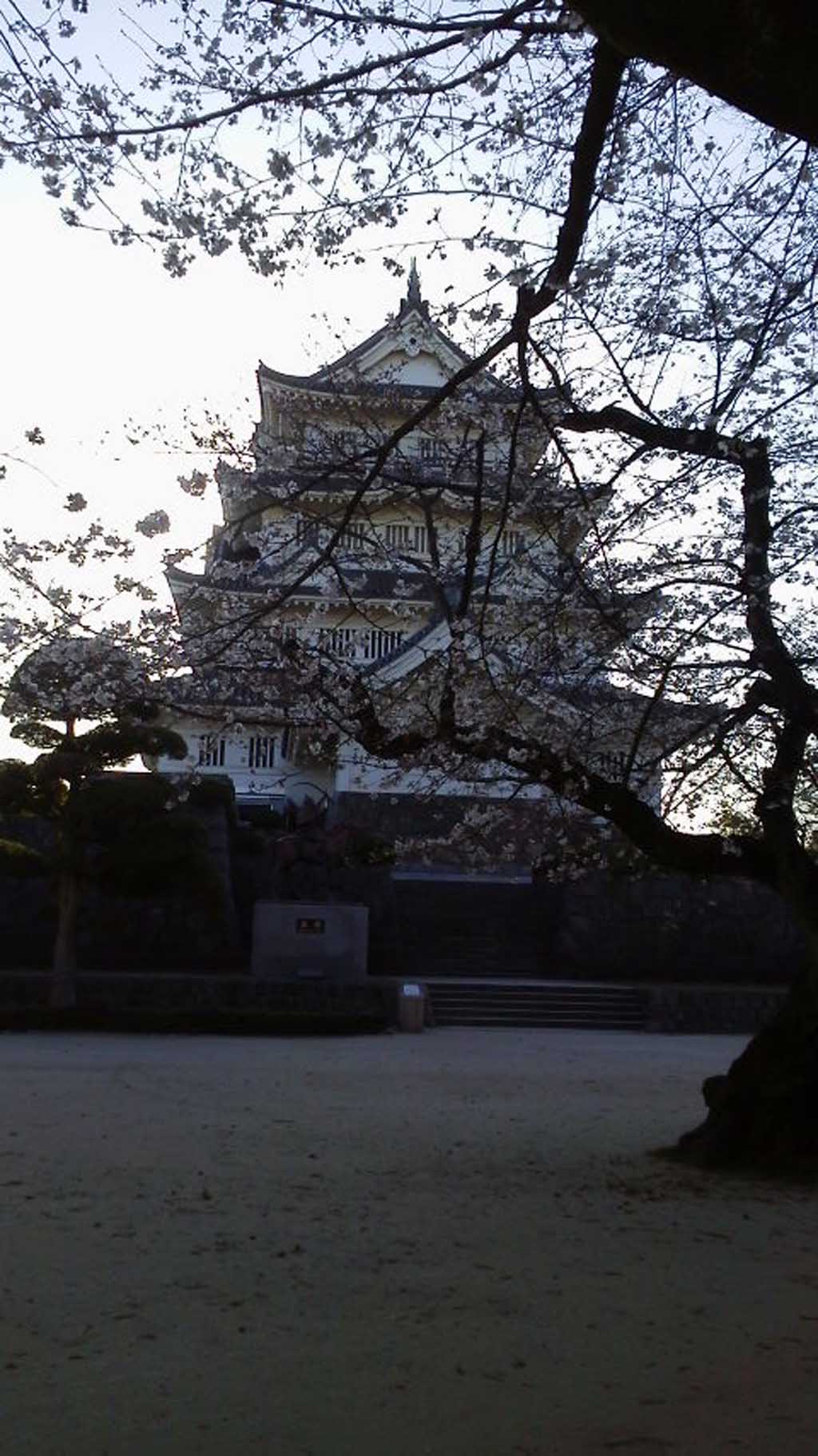 ��@�����@���̎ʐ^