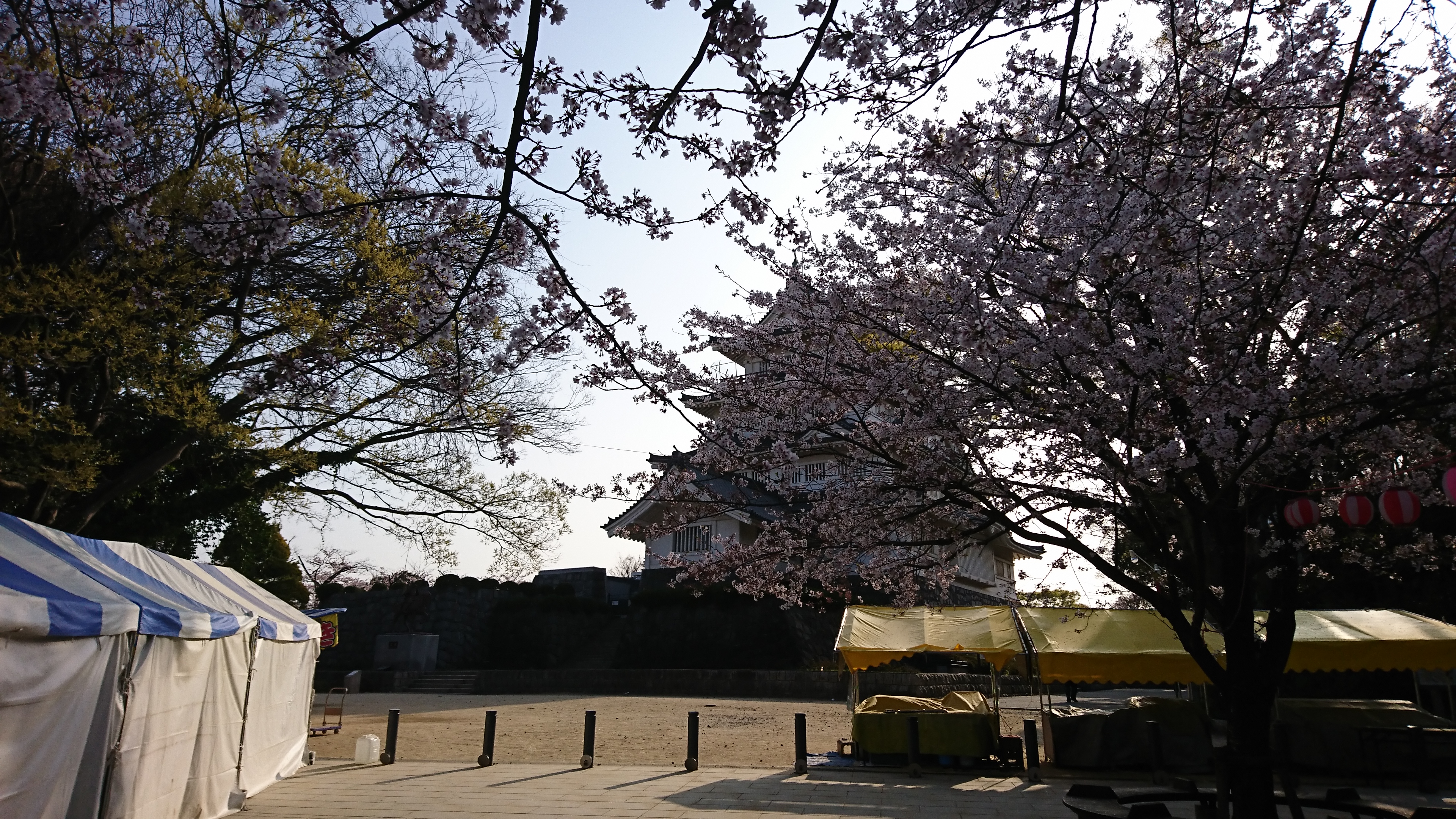 ��t�����@���̎ʐ^