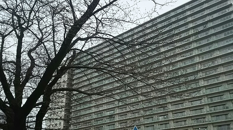 �l�X�����������@���̎ʐ^