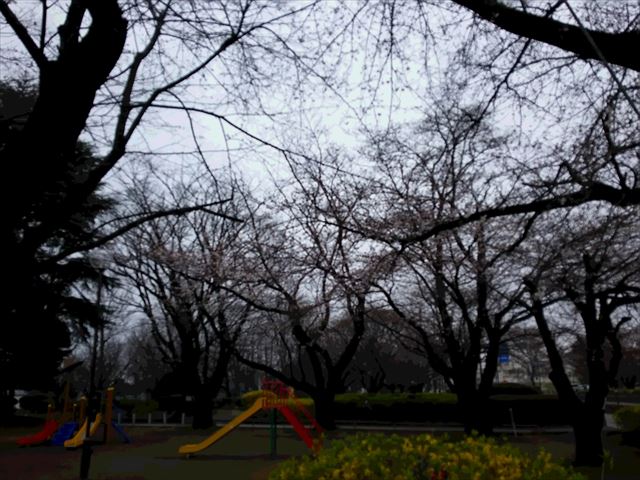 �l�X�����������@���̎ʐ^