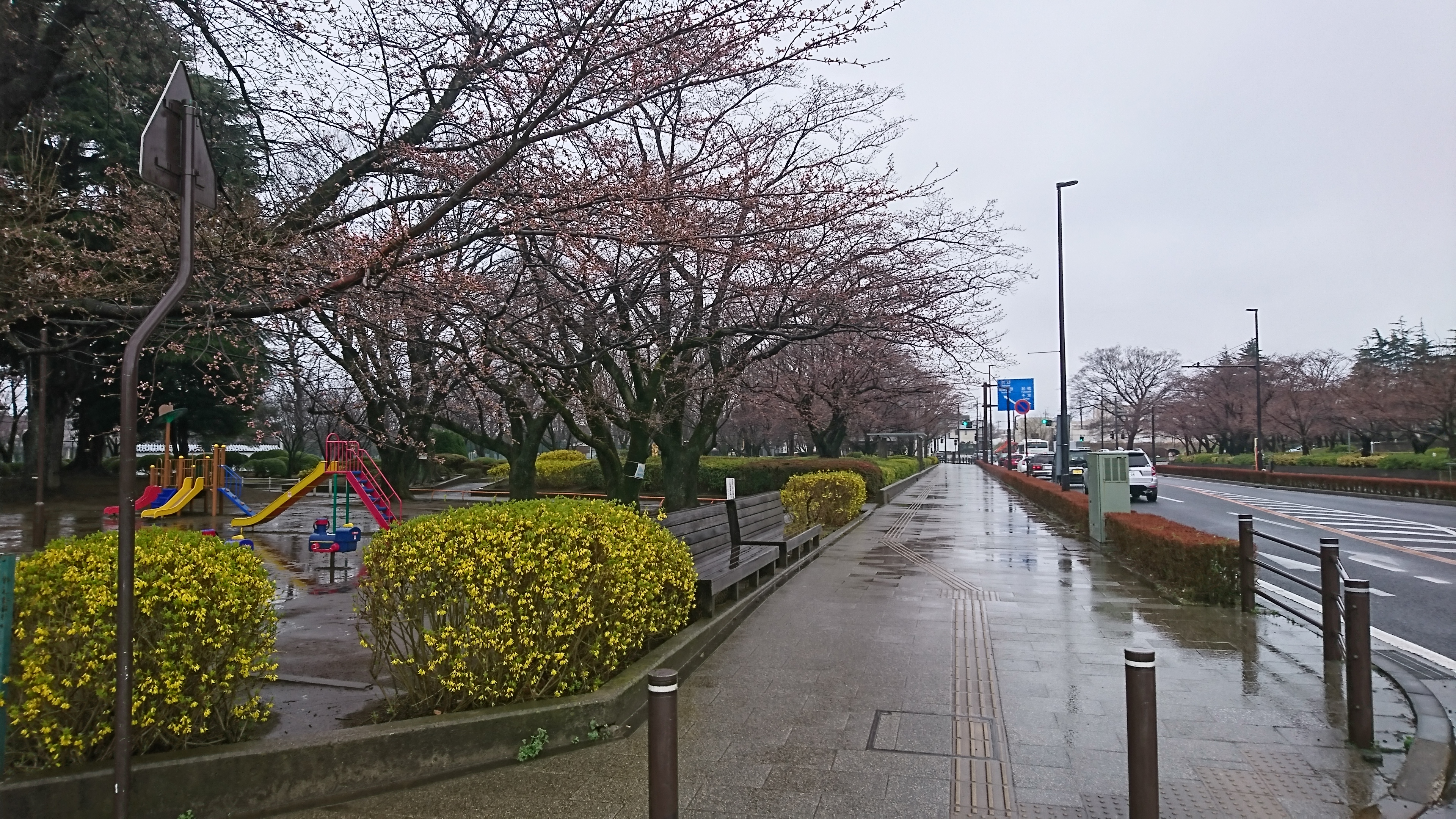 �l�X�����������@���̎ʐ^