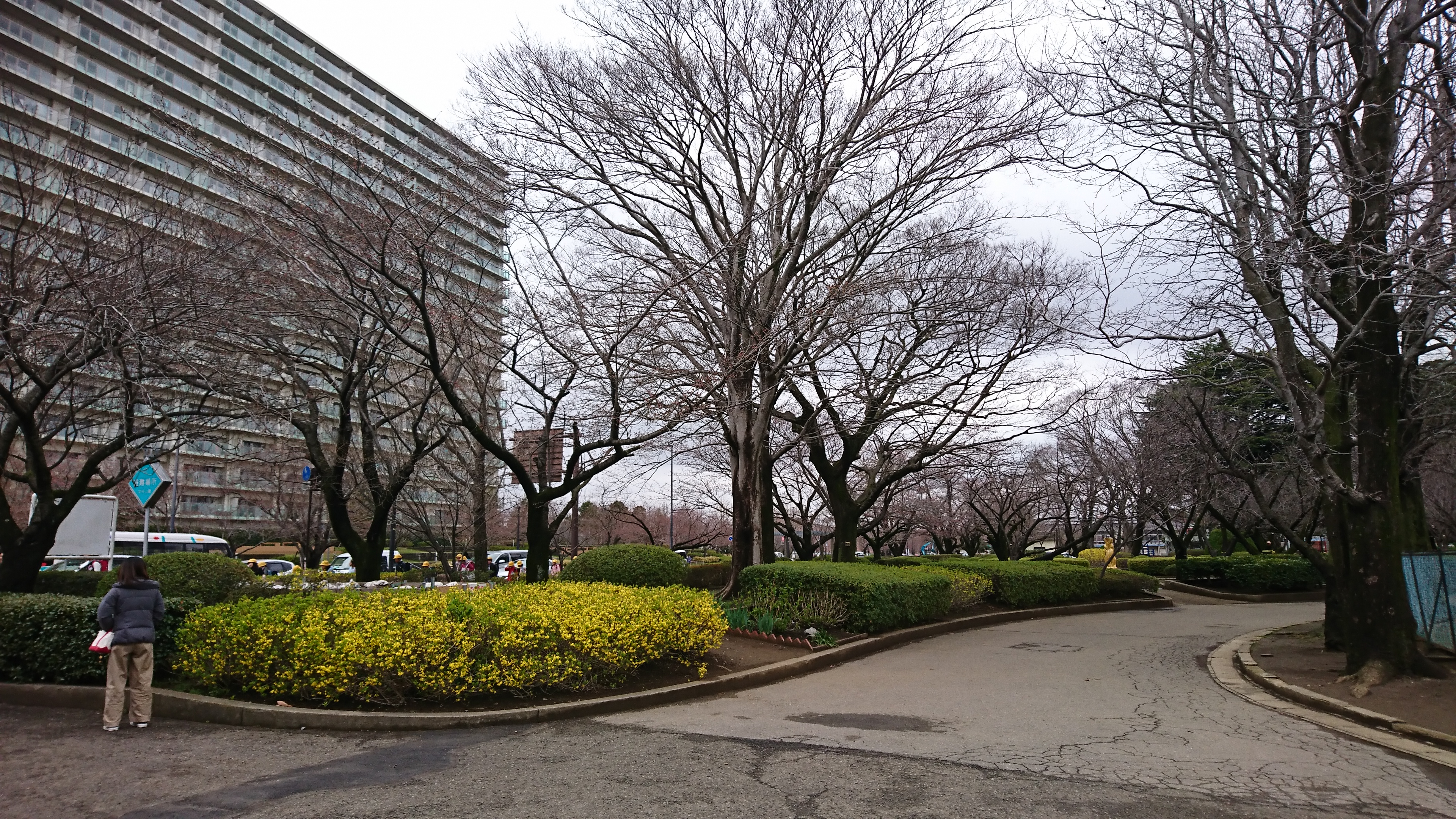 �l�X�����������@���̎ʐ^