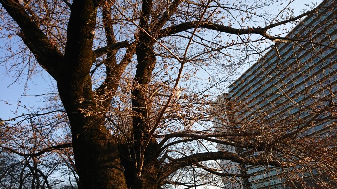 �l�X�����������@���̎ʐ^