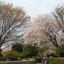 子神中央公園