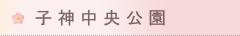 q_